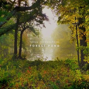 看女人逼毛最多的视频
